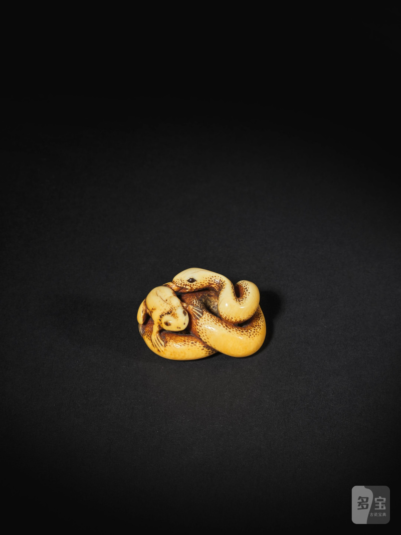 象牙彫根付 蛇蛙 銘「玉陽齋」 19世紀中期 | NETSUKE EN IVOIRE REPRÉSENTANT UN SERPENT ATTRAPANT UN CRAPAUD - 图11